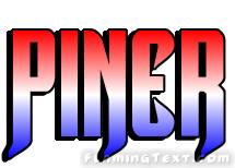 Piner 市