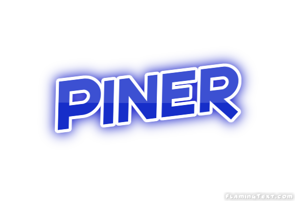 Piner 市