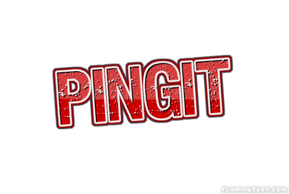 Pingit City