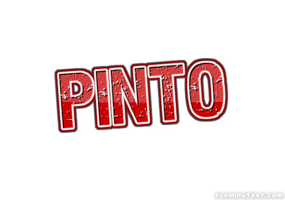 Pinto مدينة