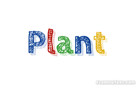 Plant Ciudad