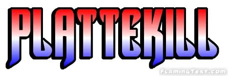 Plattekill 市