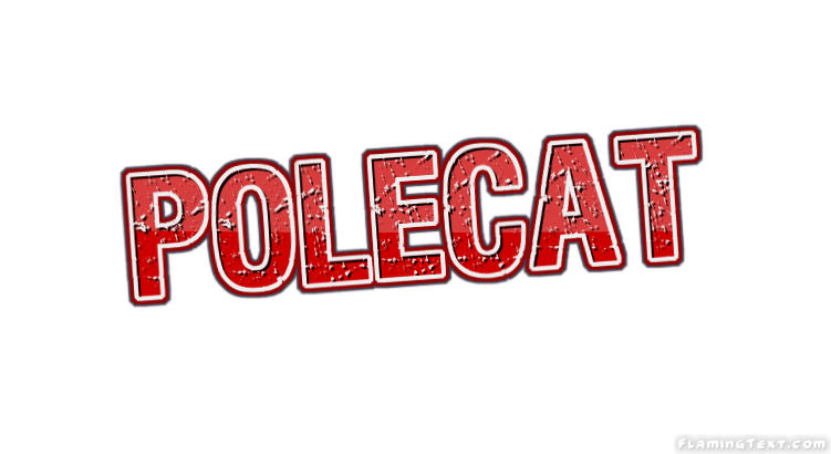 Polecat Stadt