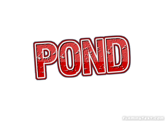 Pond Ciudad