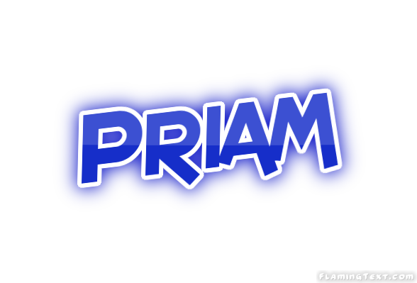 Priam City
