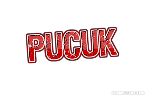 Pucuk 市