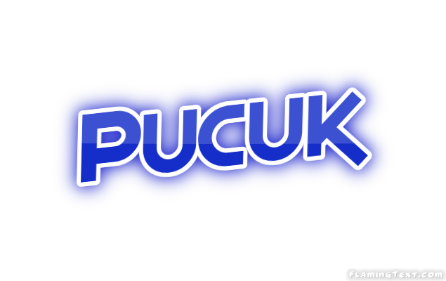 Pucuk City