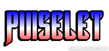 Puiselet City
