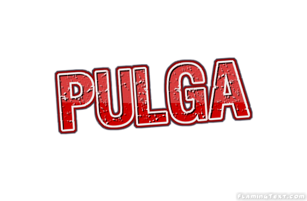 Pulga 市