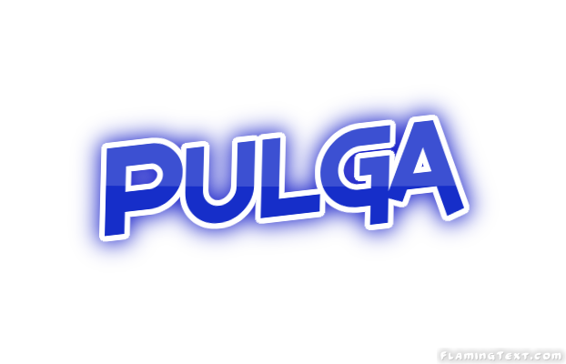 Pulga City