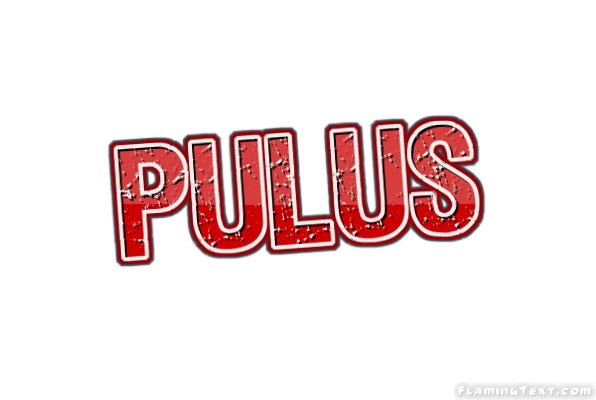 Pulus City