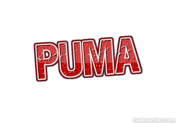 Puma 市
