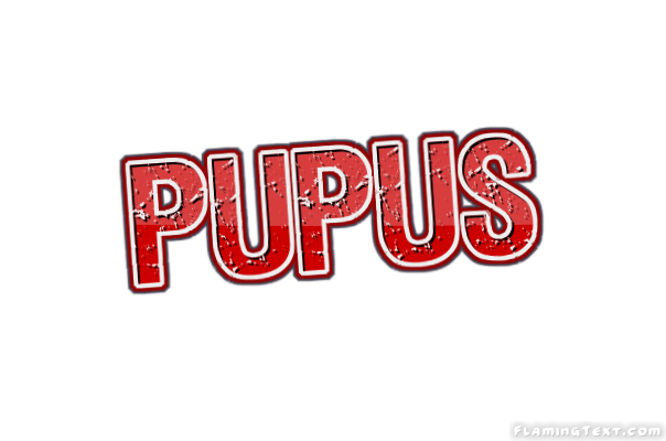 Pupus Ciudad