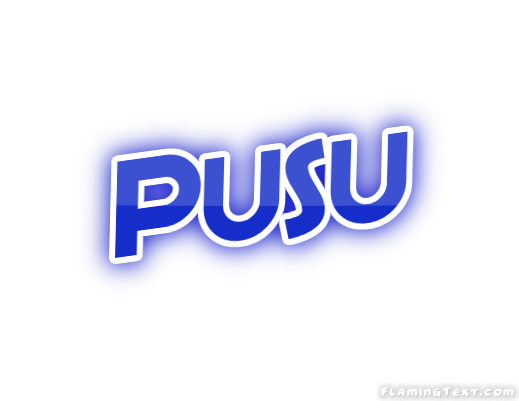 Pusu City