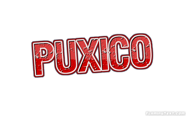 Puxico City