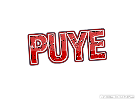 Puye 市