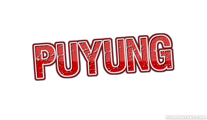 Puyung город