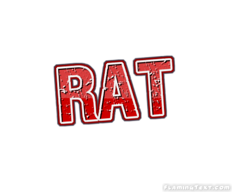 Rat город