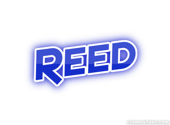 Reed مدينة