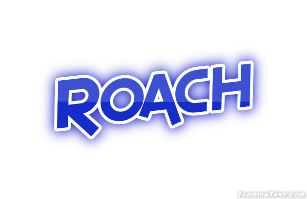 Roach 市