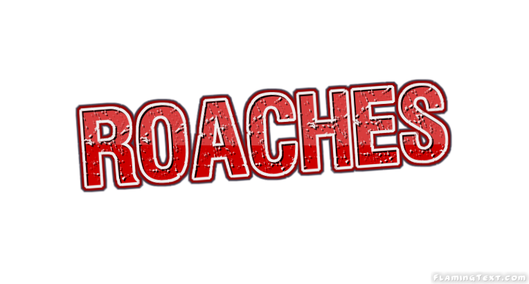 Roaches 市