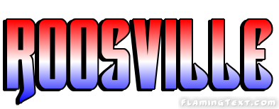 Roosville City