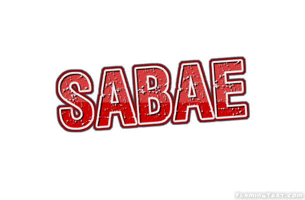 Sabae город