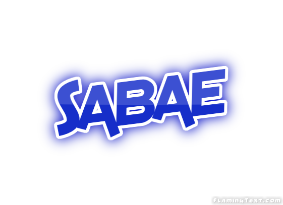 Sabae город