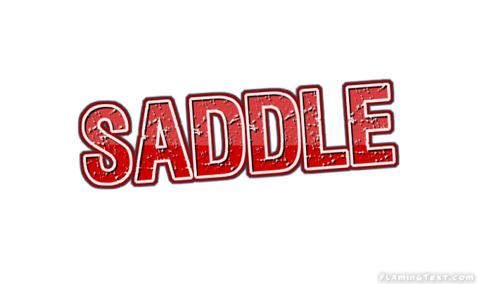 Saddle 市