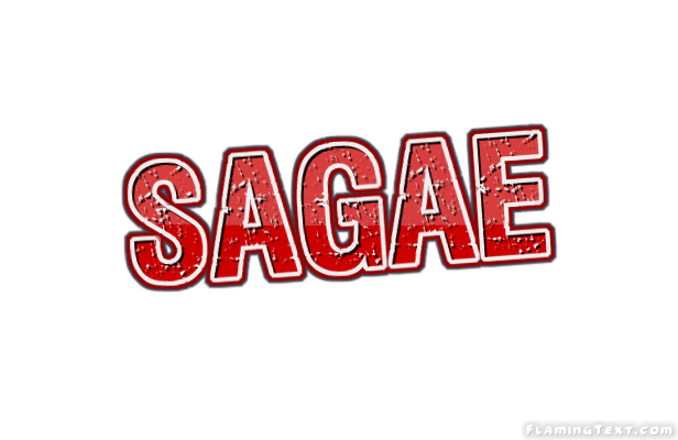 Sagae Stadt