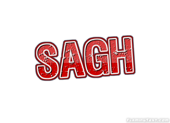Sagh City