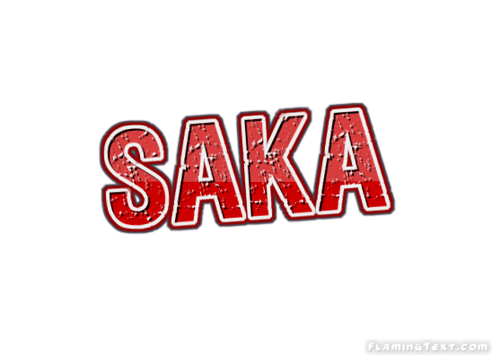 Saka City