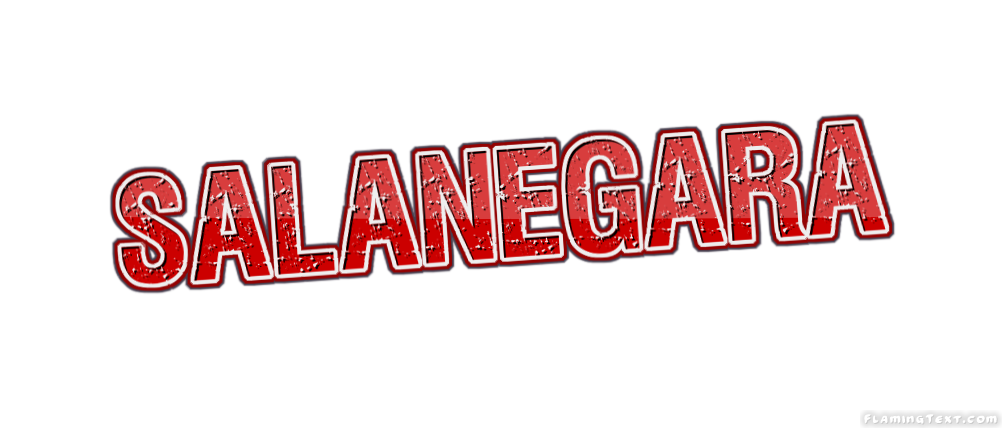 Salanegara City