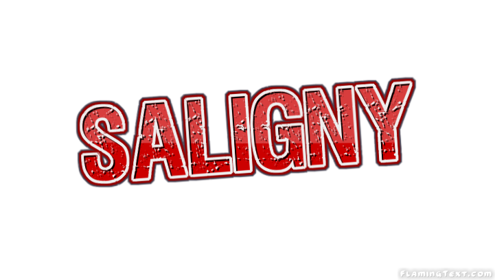 Saligny 市