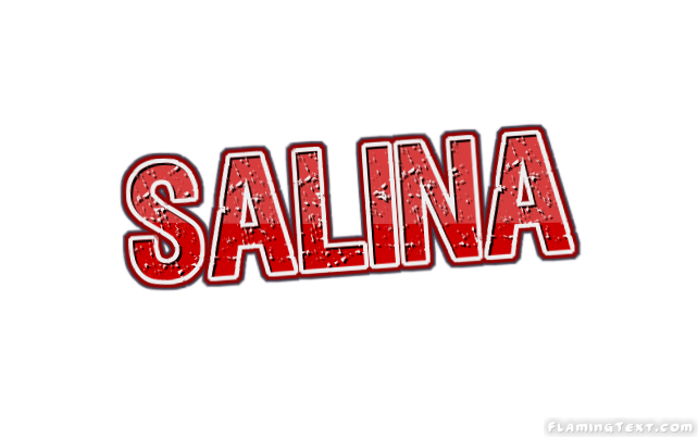 Salina City