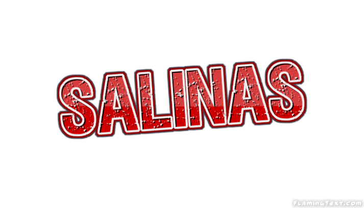 Salinas город
