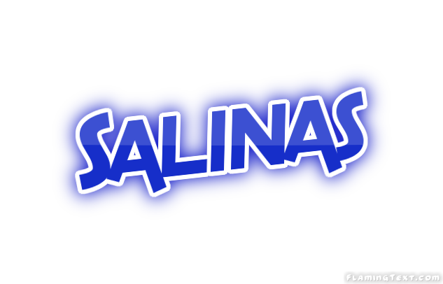 Salinas город
