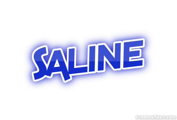 Saline City