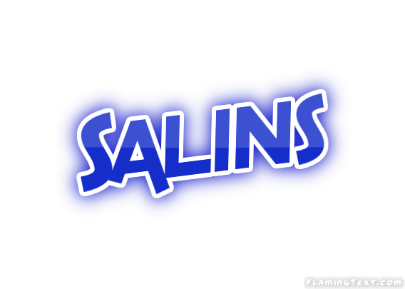Salins City