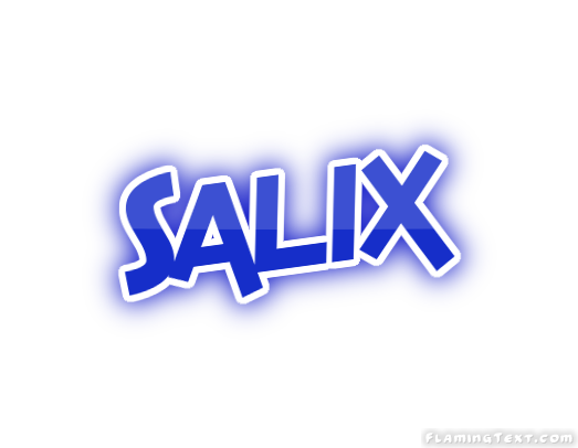 Salix 市