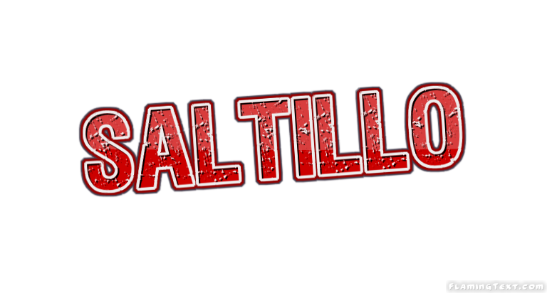 Saltillo Stadt