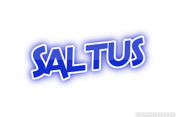 Saltus City
