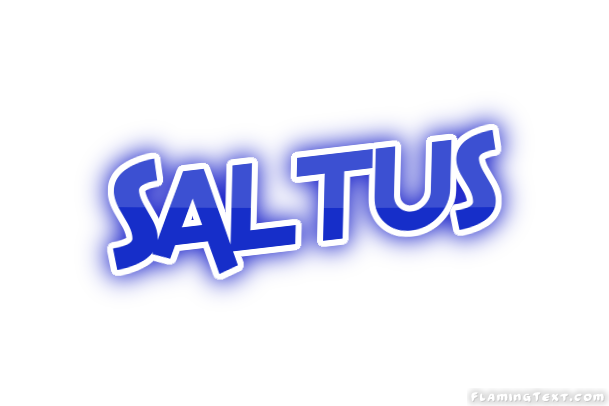 Saltus город