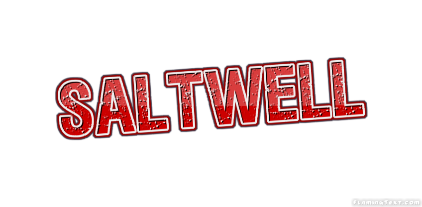Saltwell Ville