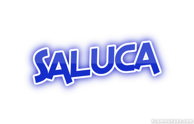 Saluca City