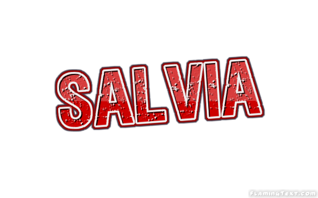 Salvia Stadt