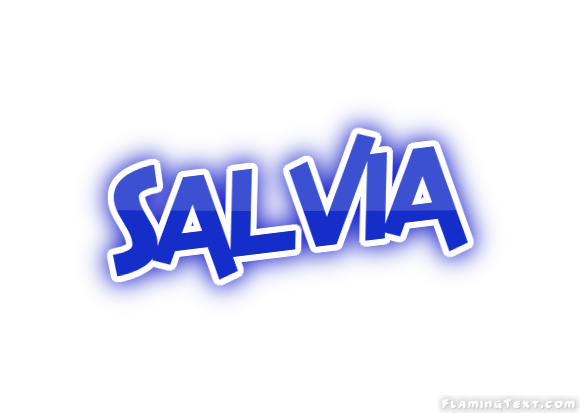 Salvia Stadt