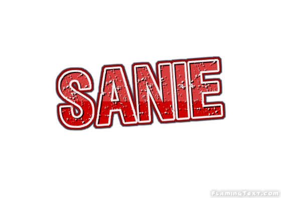 Sanie Ville