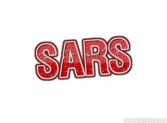 Sars City