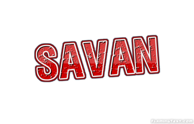 Savan 市